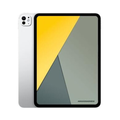 Apple iPad Pro 13" Wi-Fi 2025 (M5) 256Go argent - très bon état