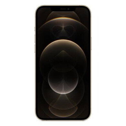 Apple iPhone 12 Pro Max 256Go or - très bon état