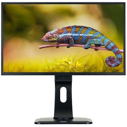 Écran 23" LCD FHD Iiyama Prolite XB2481HS-B1